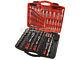 219 Pc Socket Set Ratchet Handle Wrench Tool Spanners 1/4 3/8 1/2 Drive